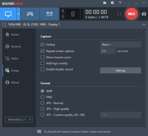 Screenshot Options in Bandicam