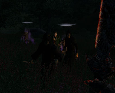 elder scrolls oblivion screenshot Who called this meeting?!