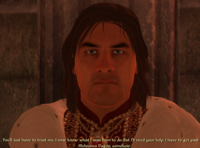 elder scrolls oblivion screenshot A plan so cunning you could pin a tail on it and call it a fox.